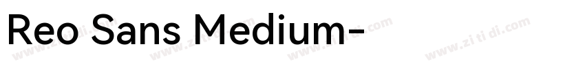 Reo Sans Medium字体转换